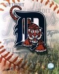 pic for Detroit Tigers